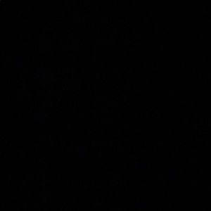 Meet your Posher, Lana